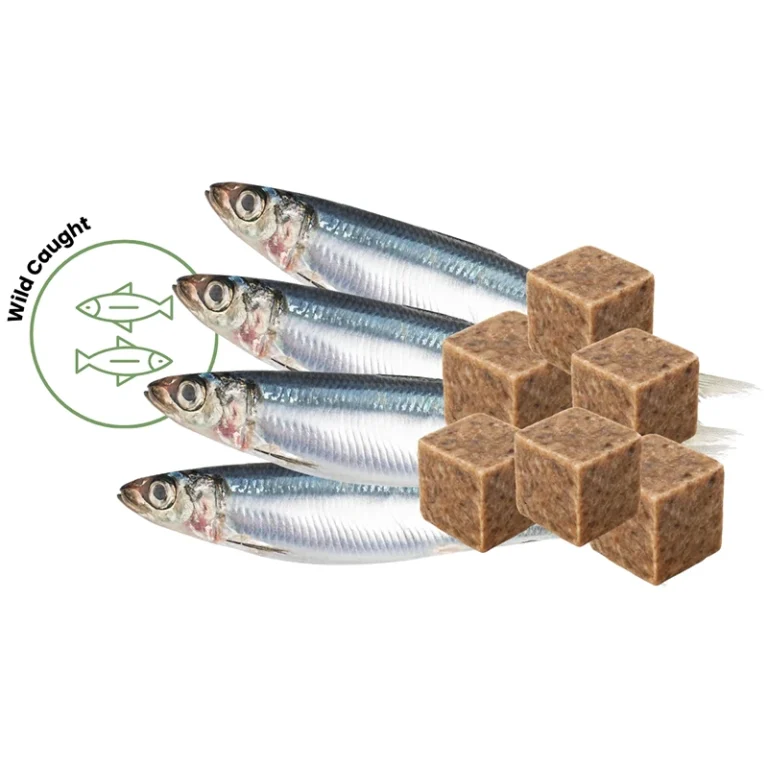 Frozen sardine dog food cubes for easy portioning.