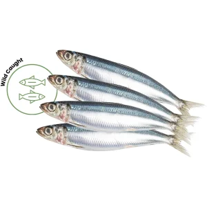 Whole sardines dog food – fresh frozen whole fish rich in omega-3 for dogs