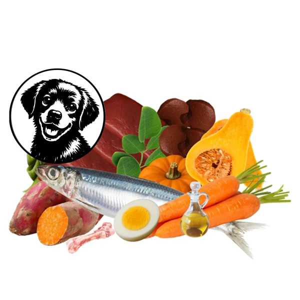 Puppy-01-Food-for-dogs Puppy food for dogs